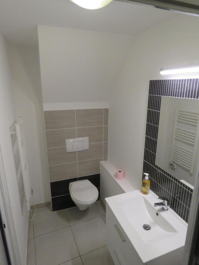 Appartement Centre Historique Avec Terrasse Au Porte De La Camargue Saint-Gilles  Ngoại thất bức ảnh